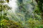 Ecuador-Guango. Cloud in jungle landscape. Landscape Print